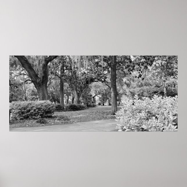 Poster Forsyth Park, Savannah Ga (Frente)