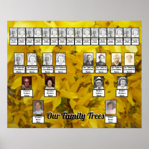 Poster Forsythia Bush Foto Duas Árvores Familiares