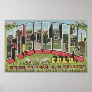 Poster Fort Collins, Colorado - grandes cenas da letra