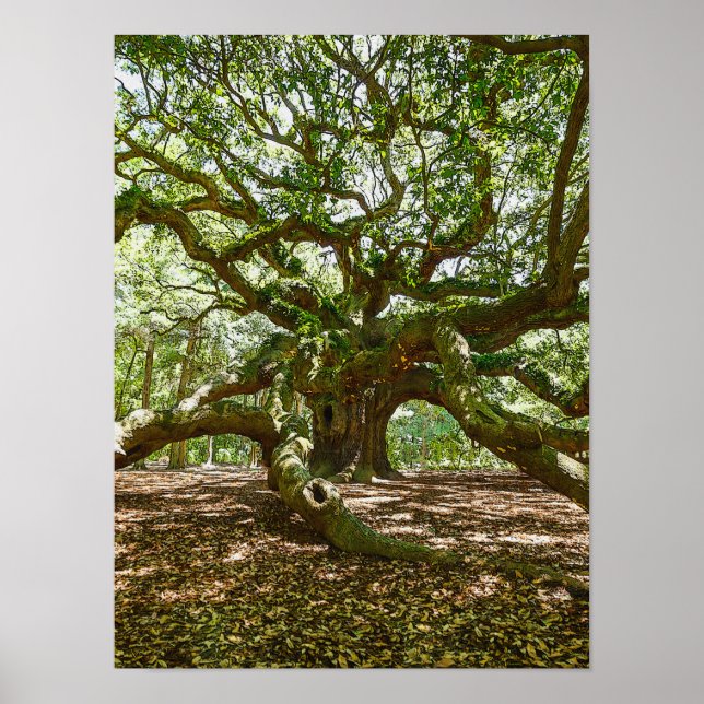 Póster Forte E Negrito (Frente)