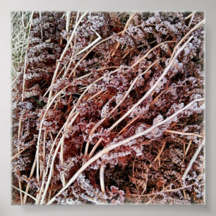 Póster Fosco fresco morto folhas de inverno