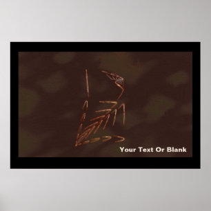 Póster Fóssil Jurássico