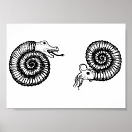 Poster Fóssil: Snakestone ou Ammonite?