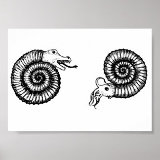 Poster Fóssil: Snakestone ou Ammonite?