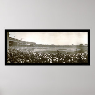 Póster Foto 1907 da série de Cubs de tigres