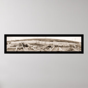 Póster Foto 1910 de Florida da fazenda do jacaré