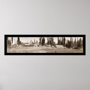 Poster Foto 1911 do divertimento do cavalo do rancho do