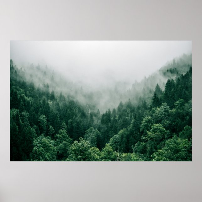 POSTER FOTO AERIAL DE ÁRVORES VERDES (Frente)