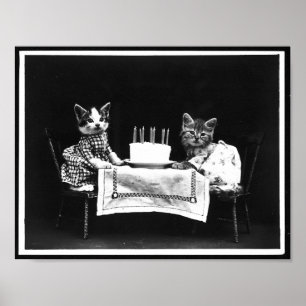 Poster Foto antiga de bolo de aniversário e gatos