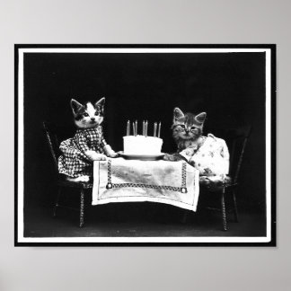 Poster Foto antiga de bolo de aniversário e gatos