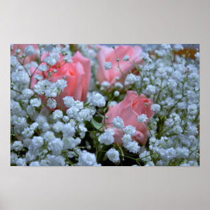 Poster Foto cor-de-rosa dos rosas