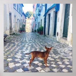 Poster Foto da Arquitetura de Cão de Lisboa Alfama