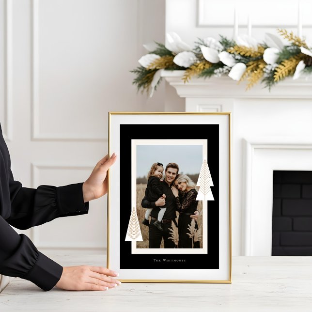 Poster Foto da Árvore de Natal Evergreen do Quadro de dis (Modern Stripe Frame Evergreen Christmas Tree Photo Poster)