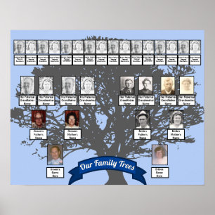 Poster Foto da Árvore Silhueta Duas Árvores Familiares