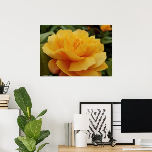 Poster Foto da Flor do Flor Rosa Amarelo-ouro (Escritório em casa)