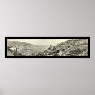 Poster Foto da Ilha Catalina, 1914