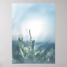 Poster Foto da natureza da planta sorrel