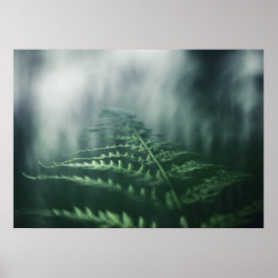 Poster Foto da natureza do Dark Moody Fern
