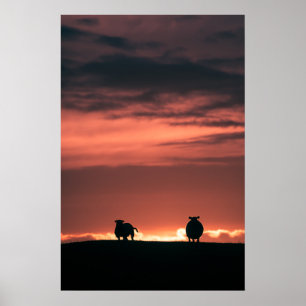 Poster Foto da Natureza Ovelhas Pôr do Sol