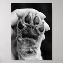 Foto da Pata Personalizada 5 por 7 Lembrança de Pe