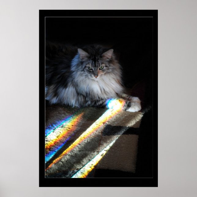 Poster Foto da ponte Cat Rainbow (Frente)
