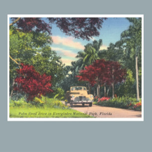 Poster Foto da vintage do Parque Nacional Everglades, Fl