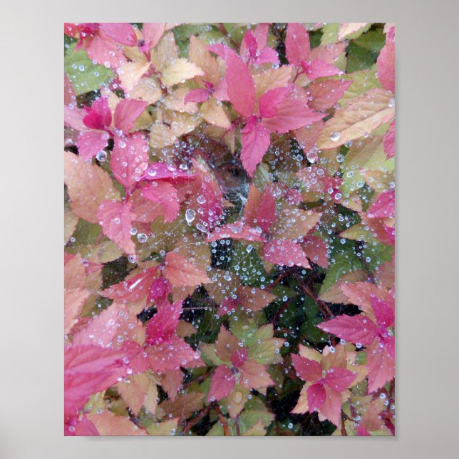 Poster Foto das flores (Frente)