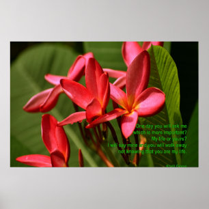 Poster Foto das flores da Plumeria com a citação de Khali