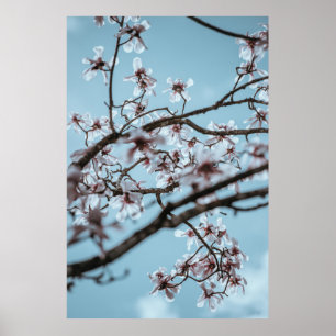 POSTER FOTO DAS FLORES PETALIZADAS BRANCAS