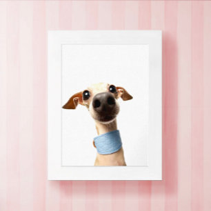 Poster Foto de animal de estimação personalizada moderna 