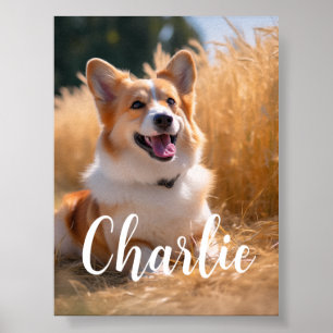 Poster Foto de Animal Personalizada