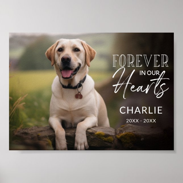 Poster Foto de Animal Personalizado Memorial (Frente)