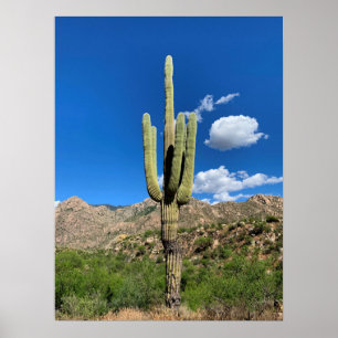 Poster Foto de Arizona do Saguaro Cactus Blue Skies
