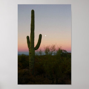 Poster Foto de Arizona do Sunset Saguaro Cactus