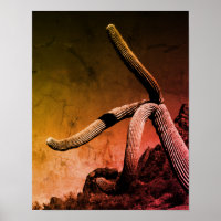 Foto de Arte Saguaro Cactus em Estilo Russo