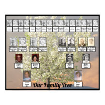 Foto de árvore de duas árvores da família | Sunset