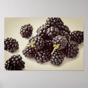 Poster Foto de Blackberry. Compre agora