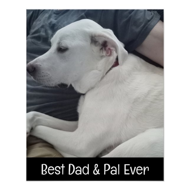 Póster Foto de Cachorro Fofo com Melhor Amigo de Todos os (Frente)
