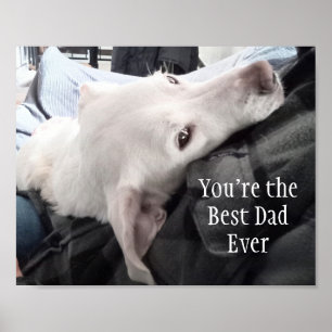 Poster Foto de Cachorro Fofo Melhor Pai do Mundo