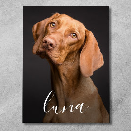 Poster Foto de cachorro personalizada com nome