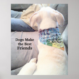 Poster Foto de Cão Cachorro Branco Bonito Observando Pai