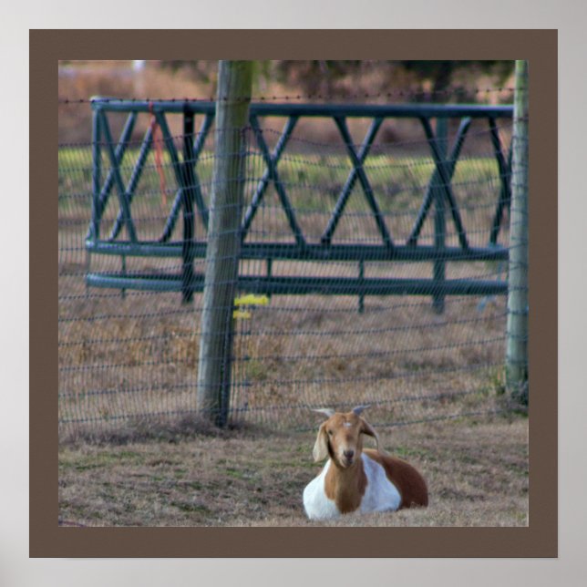 Poster Foto de Capa (Frente)