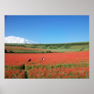 Poster Foto de casamento em um campo de Papoulas Vermelha