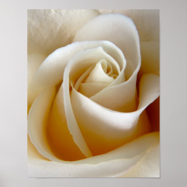 Póster Foto de casamento Rosa Creme (Frente)