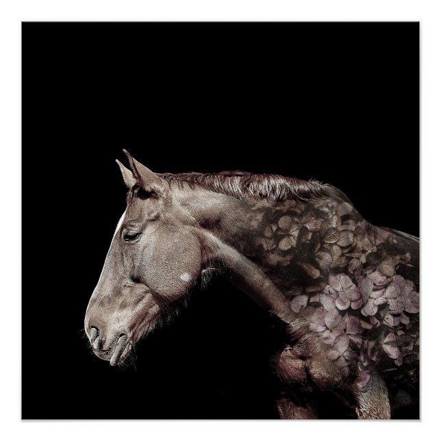 Póster Foto De Flor De Cavalo De Exposição Dupla E Gorda (Frente)