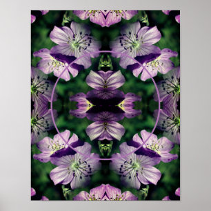 Poster Foto de Flores de Gerânio Roxo