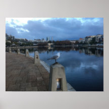 Foto de Gaivota