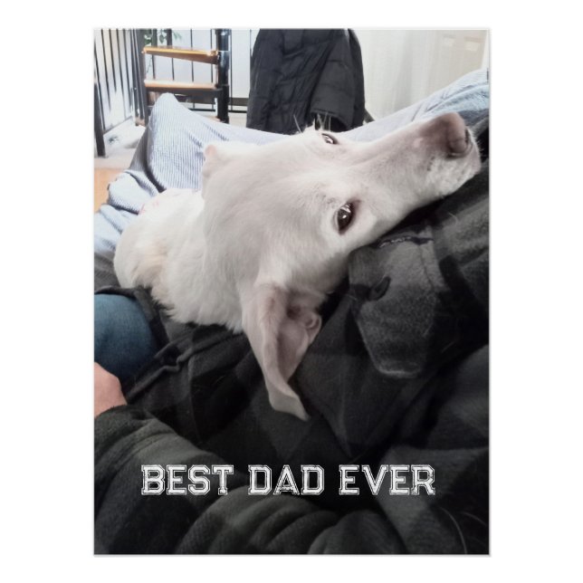 Póster Foto de lindo cachorro branco com o papai no Dia d (Frente)