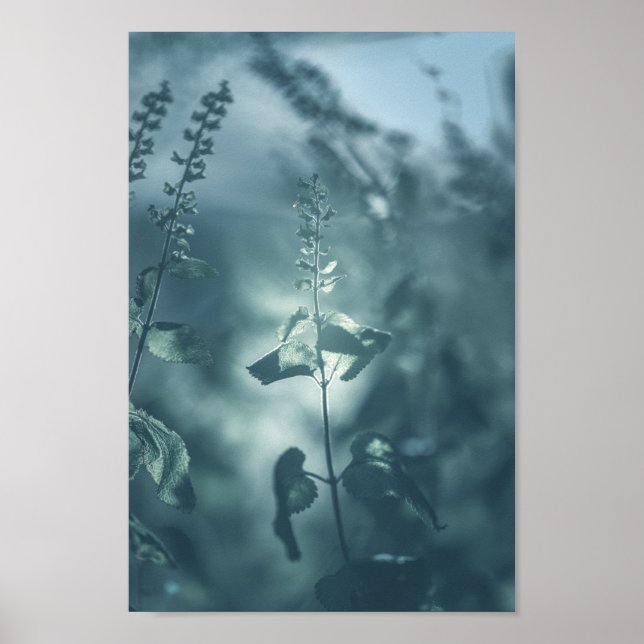 Poster Foto de natureza floral (Frente)