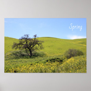 Poster Foto de Oak Natureza de Flores Selvagens Hillside